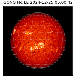 gong - 2024-12-25T05:00:42