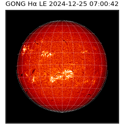 gong - 2024-12-25T07:00:42