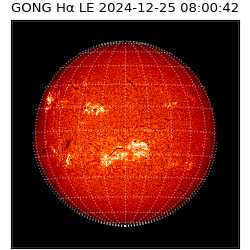 gong - 2024-12-25T08:00:42