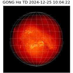 gong - 2024-12-25T10:04:22