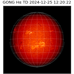 gong - 2024-12-25T12:20:22