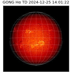 gong - 2024-12-25T14:01:22