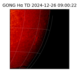 gong - 2024-12-26T09:00:22