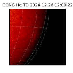 gong - 2024-12-26T12:00:22