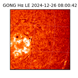 gong - 2024-12-26T08:00:42