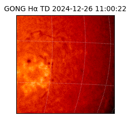 gong - 2024-12-26T11:00:22