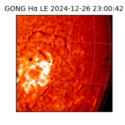 gong - 2024-12-26T23:00:42