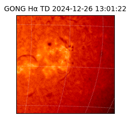 gong - 2024-12-26T13:01:22