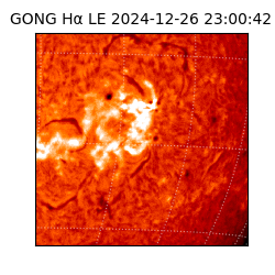 gong - 2024-12-26T23:00:42