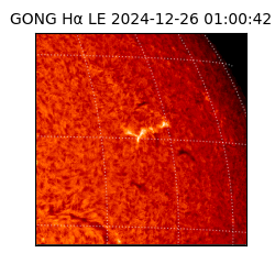 gong - 2024-12-26T01:00:42