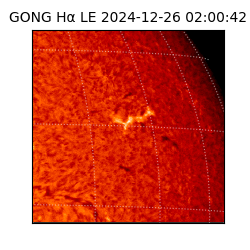 gong - 2024-12-26T02:00:42