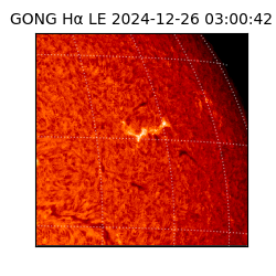 gong - 2024-12-26T03:00:42