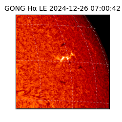 gong - 2024-12-26T07:00:42