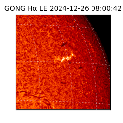 gong - 2024-12-26T08:00:42