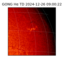 gong - 2024-12-26T09:00:22