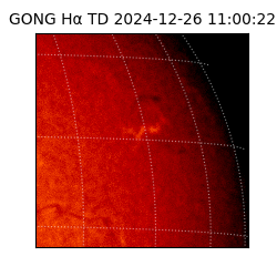 gong - 2024-12-26T11:00:22