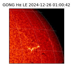 gong - 2024-12-26T01:00:42