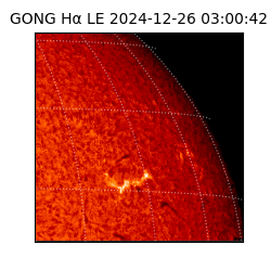 gong - 2024-12-26T03:00:42