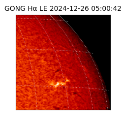 gong - 2024-12-26T05:00:42