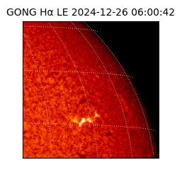 gong - 2024-12-26T06:00:42