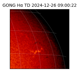 gong - 2024-12-26T09:00:22