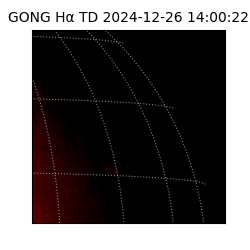 gong - 2024-12-26T14:00:22