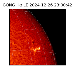 gong - 2024-12-26T23:00:42