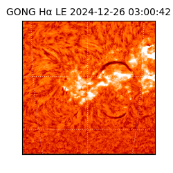 gong - 2024-12-26T03:00:42