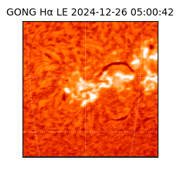 gong - 2024-12-26T05:00:42