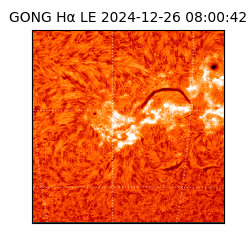 gong - 2024-12-26T08:00:42