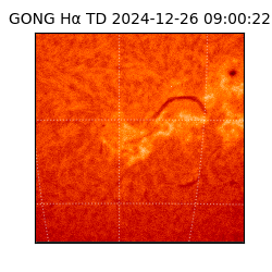 gong - 2024-12-26T09:00:22