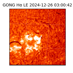 gong - 2024-12-26T03:00:42