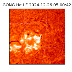 gong - 2024-12-26T05:00:42