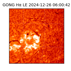 gong - 2024-12-26T06:00:42