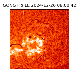 gong - 2024-12-26T08:00:42