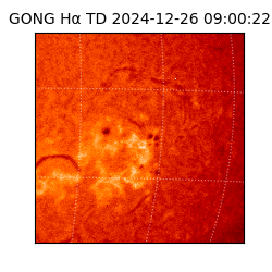 gong - 2024-12-26T09:00:22