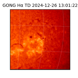 gong - 2024-12-26T13:01:22