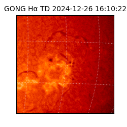 gong - 2024-12-26T16:10:22