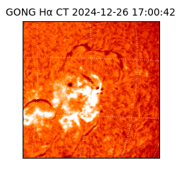 gong - 2024-12-26T17:00:42