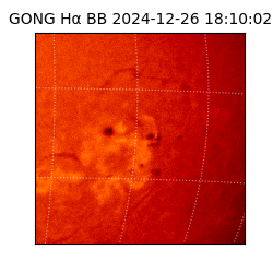 gong - 2024-12-26T18:10:02