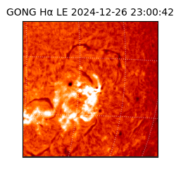 gong - 2024-12-26T23:00:42