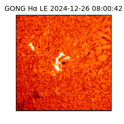 gong - 2024-12-26T08:00:42