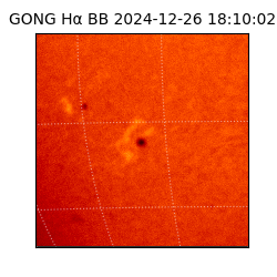 gong - 2024-12-26T18:10:02