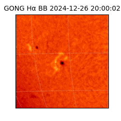 gong - 2024-12-26T20:00:02