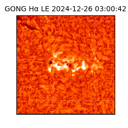 gong - 2024-12-26T03:00:42