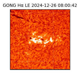 gong - 2024-12-26T08:00:42