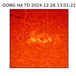 gong - 2024-12-26T13:01:22