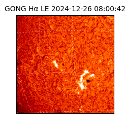 gong - 2024-12-26T08:00:42