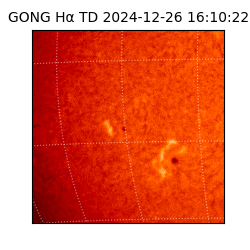 gong - 2024-12-26T16:10:22