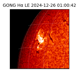 gong - 2024-12-26T01:00:42